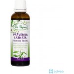 Dr. Popov Bylinné kapky Právenka latnatá 50 ml – Hledejceny.cz
