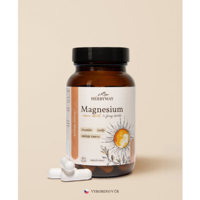Herbs Energy Magnesium Hořčík Ranní 3 x 60 kapslí – Hledejceny.cz