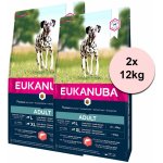 Eukanuba Adult Salmon 2 x 12 kg – Hledejceny.cz
