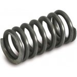 Pružina vinutá - tlačná - D/d = 10/1.0 mm L=15 mm – Sleviste.cz