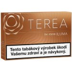 TEREA AMBER krabička – Hledejceny.cz