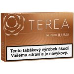 TEREA AMBER krabička – Zbozi.Blesk.cz