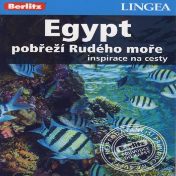 Egypt pobřeží Rudého moře