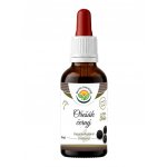 Salvia Paradise Ořešák černý AF tinktura 50 ml – Hledejceny.cz