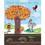 Strom od jara do zimy – Sleviste.cz