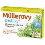 Dr. Müller Müllerovy pastilky s islandským lišejníkem bez cukru 12 pastilek – Hledejceny.cz