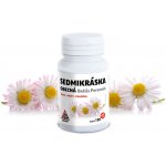 Valknut Sedmikráska obecná Bellis Perennis 100+20 kapslí – Hledejceny.cz