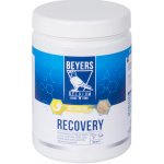 Beyers RECOVERY 600 g – Hledejceny.cz