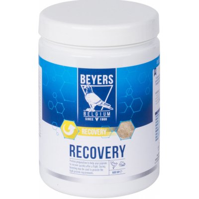Beyers RECOVERY 600 g – Hledejceny.cz