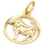 B&B Goldinvestic Zlatý přívěsek býk v kruhu N5061 – Sleviste.cz