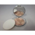 Virtual Cosmetics Face Powder Pudr 208 20 g – Zboží Dáma