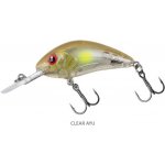 Salmo Rattlin Hornet Floating Clear Ayu 6,5 cm – Hledejceny.cz