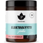 Puhdistamo Electrolyte Powder iontový prášek červené bobulovité ovoce 120 g – Hledejceny.cz