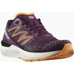 Salomon Sonic 5 Balance vínová/černá – Zboží Dáma