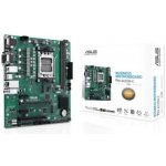 Asus PRO A620M-C-CSM 90MB1F80-M0EAYC – Zboží Živě