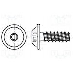 BOSSARD 3187109 Vrut; pro plasty; 2,2x5; Hlava: kulatá; Torx® PLUS; 6IP; ocel; zinek – Hledejceny.cz