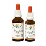 Salvia Paradise Boswellia serrata Kadidlovník AF tinktura 30 ml – Hledejceny.cz