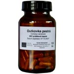 Houbicky Glückspilze Maitake BIO 120 kapslí – Hledejceny.cz