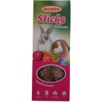 Avicentra Tyčinka Hlodavec vitamíny med 2 x 60 g – Zboží Dáma