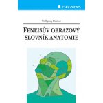 Feneisův obrazový slovník anatomie - 9. vyd - Wolfgang Dauber – Hledejceny.cz