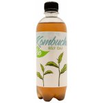 Stevikom Kombucha Bílý čaj Bio 0,5 l – Zboží Mobilmania