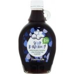 Country Life Bio sirup borůvkový 250 ml – Sleviste.cz