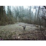 OXE Panther 4G – Zboží Živě