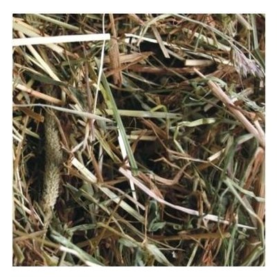 Agrobs Wiesenheu Alpské seno Hlodavec 10 kg – Zboží Mobilmania