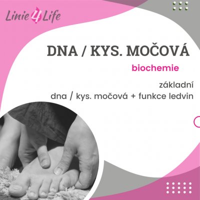 For Long Life Dna / kyselina močová - Dna/kyselina močová + funkce ledvin - vyhodnocení lékařem + lékařská zpráva – Hledejceny.cz