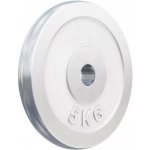 Gorilla Sports chromovaný 5 kg 205 mm – Hledejceny.cz