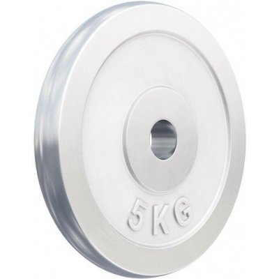 Gorilla Sports chromovaný 5 kg 205 mm – Hledejceny.cz