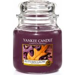 Yankee Candle Autumn Glow 411 g – Hledejceny.cz