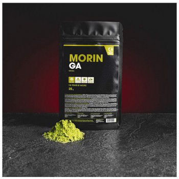 Zdravý den Moringa Bio Raw prášek 1 kg