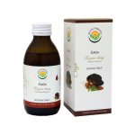 Salvia Paradise Čaga rezavec šikmý DS sirup 180 ml – Hledejceny.cz