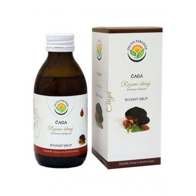 Salvia Paradise Čaga rezavec šikmý DS sirup 180 ml – Hledejceny.cz
