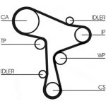 Sada rozvodového řemene s vodní pumpou CONTINENTAL CTAM CT1168WP1 – Sleviste.cz