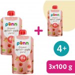 Salvest Põnn BIO meruňka s jablkem 100 g – Hledejceny.cz