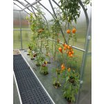 Gutta Gardentec Standard polykarbonát 4 mm 6x2,5 m 4394299 – Zboží Dáma