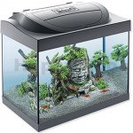 Tetra Starter Line Crayfish LED akvarijní set 44 x 37 x 30 cm 30 l – Zboží Dáma