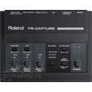 Roland UA-33