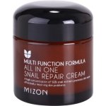 MIZON ALL IN ONE SNAIL REPAIR CREAM 75 ml – Hledejceny.cz