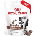 Royal Canin Dog Gastrointestinal Treats 230 g – Zboží Mobilmania