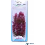 Tetra Myriophyllum heterophyllum - Red Foxtail 23 cm – Zboží Mobilmania