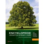 Encyklopedie listnatých stromů a keřů – Zboží Dáma