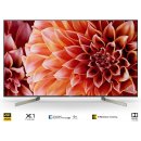 Televize Sony Bravia KD-55XE9305