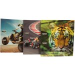 Donau Pákový pořadač - A4, šíře hřbetu 7,5 cm, designové – Sleviste.cz