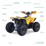 Lamax eBumbleBee ATV60M | Zboží Auto