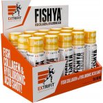 Extrifit Fishya Shot Meruňka 15x90 ml – Hledejceny.cz