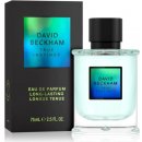 Parfém David Beckham True Instinct parfémovaná voda pánská 75 ml