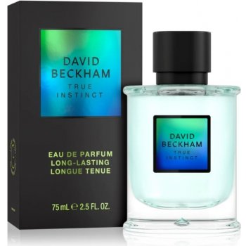 David Beckham True Instinct parfémovaná voda pánská 75 ml